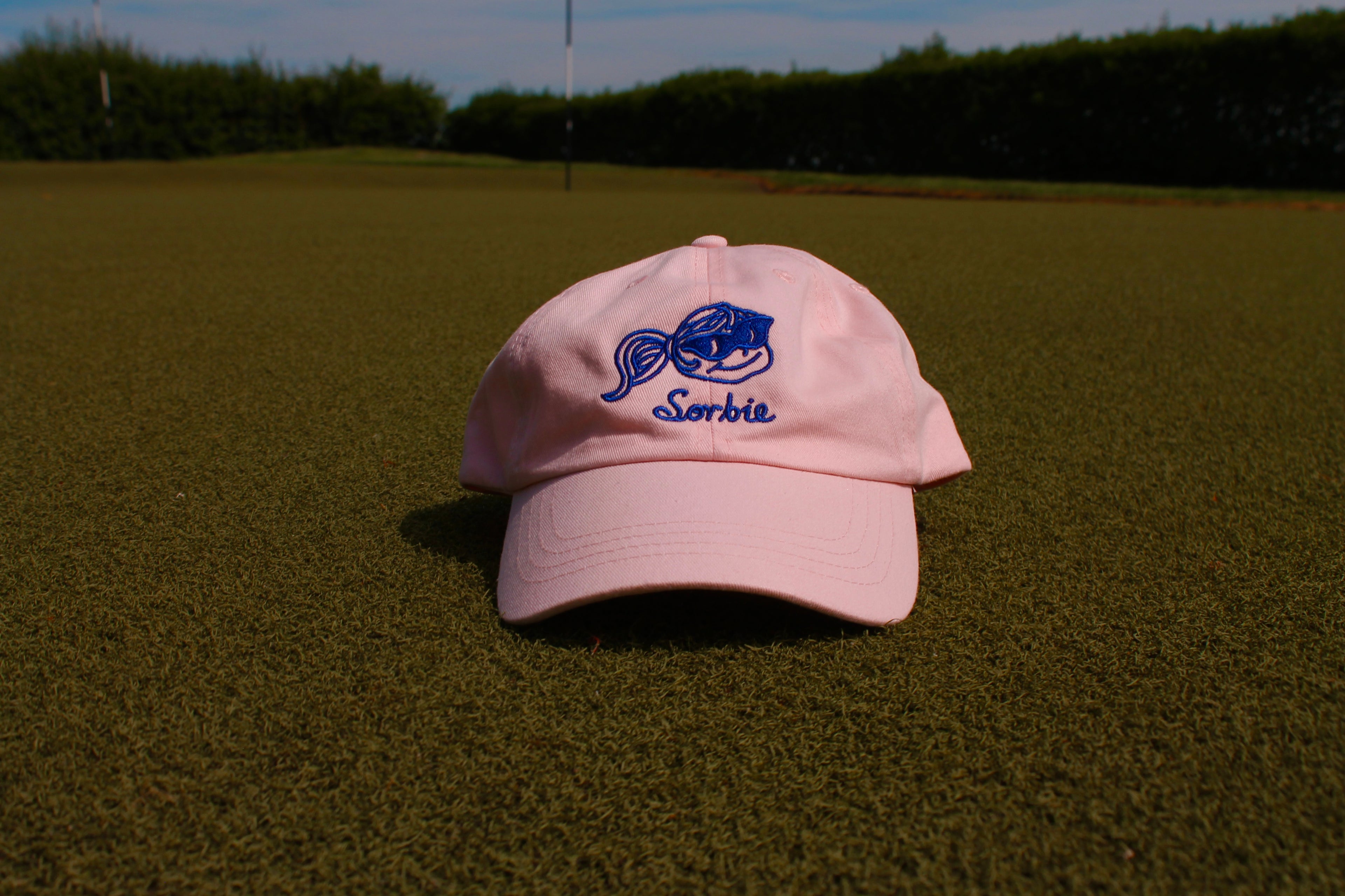 Sorbie Cap in Baby Pink